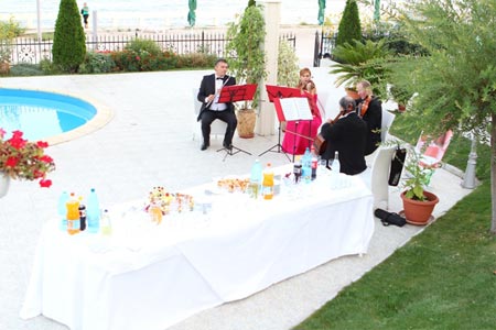 Orchestra Amadeo