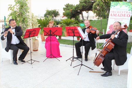 Orchestra Amadeo
